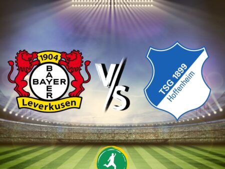 Nhận định bóng đá Leverkusen vs Hoffenheim 30/03/2024